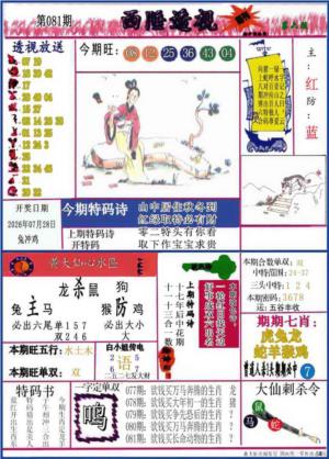 西陲透视(正版)