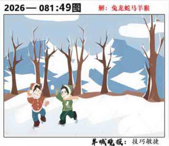 49图