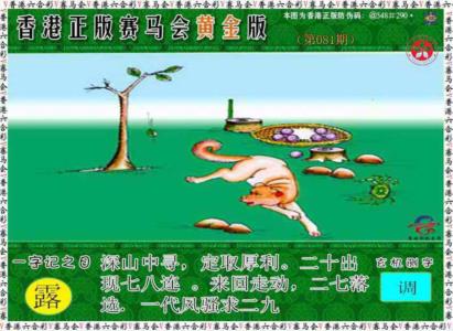 赛马会黄金版
