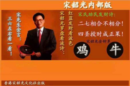 宋韶光内部版(另版)