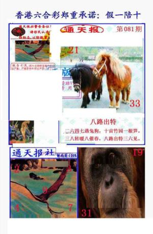 假一陪十通天报