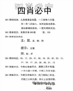 四肖中特(新)