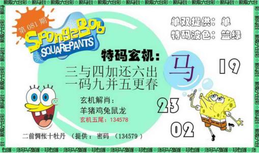 新特码玄机