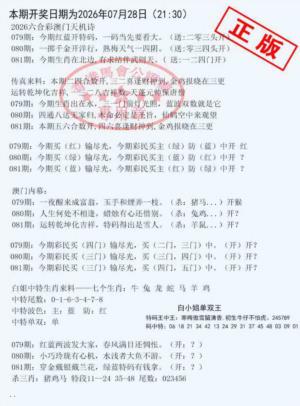 深圳特区报B