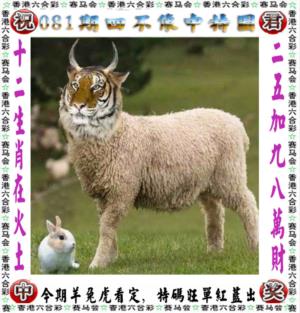 正版四不像