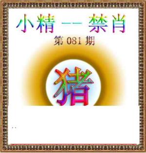 小精禁肖