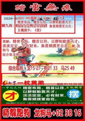 踏雪无痕解跑狗