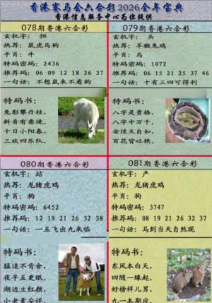 宝典报