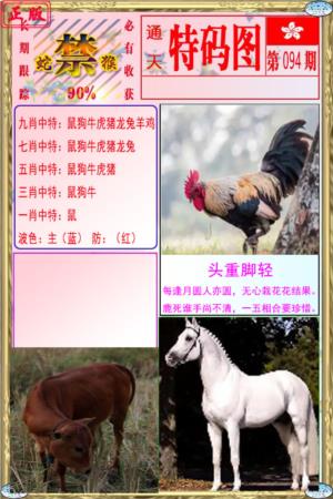 特码图