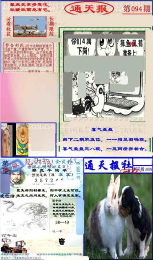 实力通天报