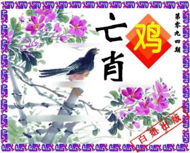 神鸟版