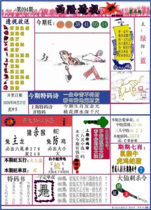西陲透视(正版)