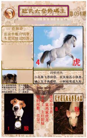 临武六合特码王