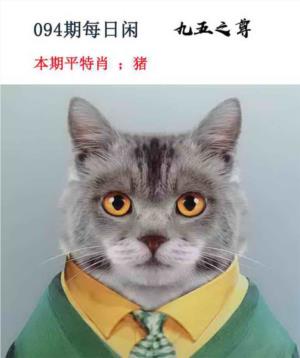 每日闲情