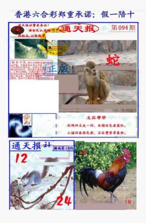 假一陪十通天报