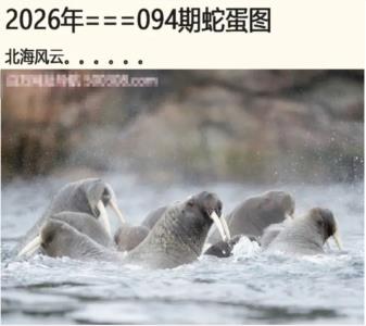 另版蛇蛋图