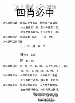 四肖中特(新)