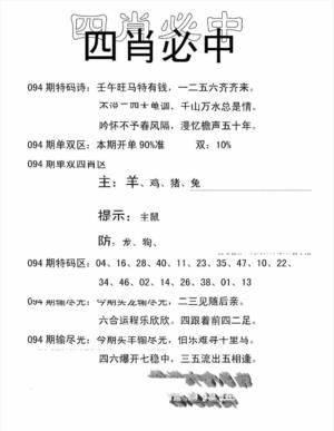 四肖中特(新)