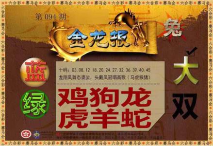 金龙报
