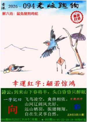 老版跑狗（内幕版）