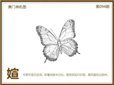 澳门神机图