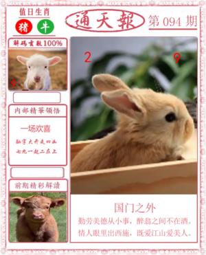 正版通天报