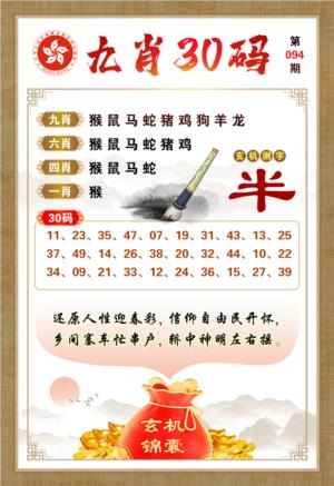 九肖30码