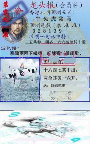龙头报