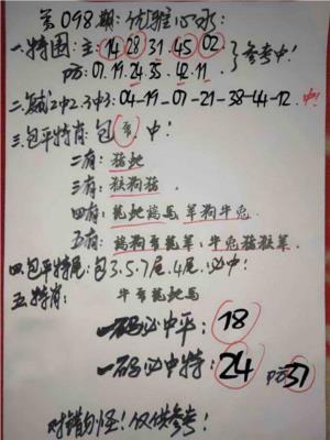 优雅心水