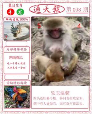 正版通天报