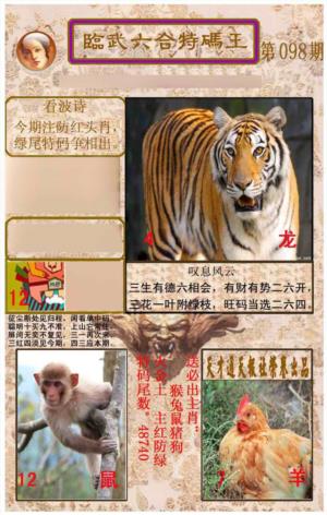 临武六合特码王