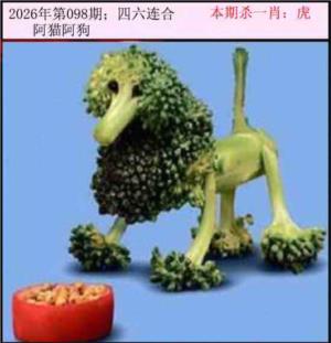 今日闲情