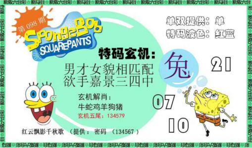 新特码玄机
