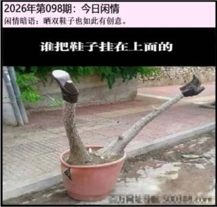 另版今日闲情