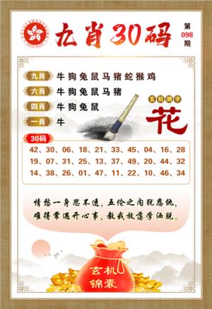 九肖30码