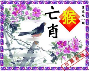 神鸟版