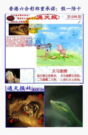 假一陪十通天报