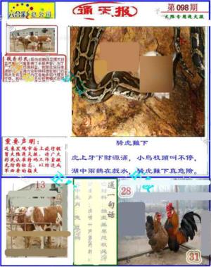 大陆通天报