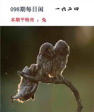 每日闲情
