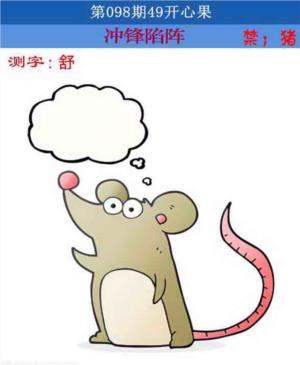 四九开心果