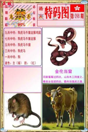 特码图