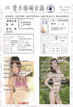 当日特码玄机-2