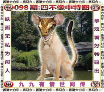 四不像中特图