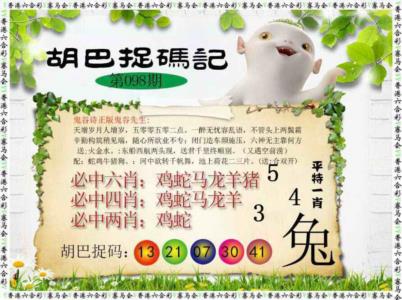 胡巴抓码记