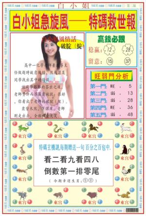 白小姐急旋风B