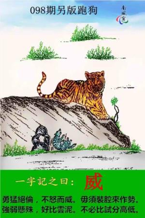 另版跑狗