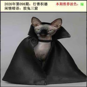 今日闲情2