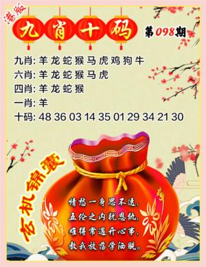 九肖十码
