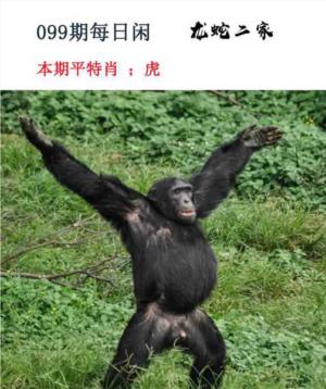 每日闲情