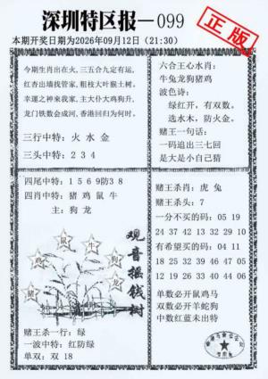 深圳特区报A